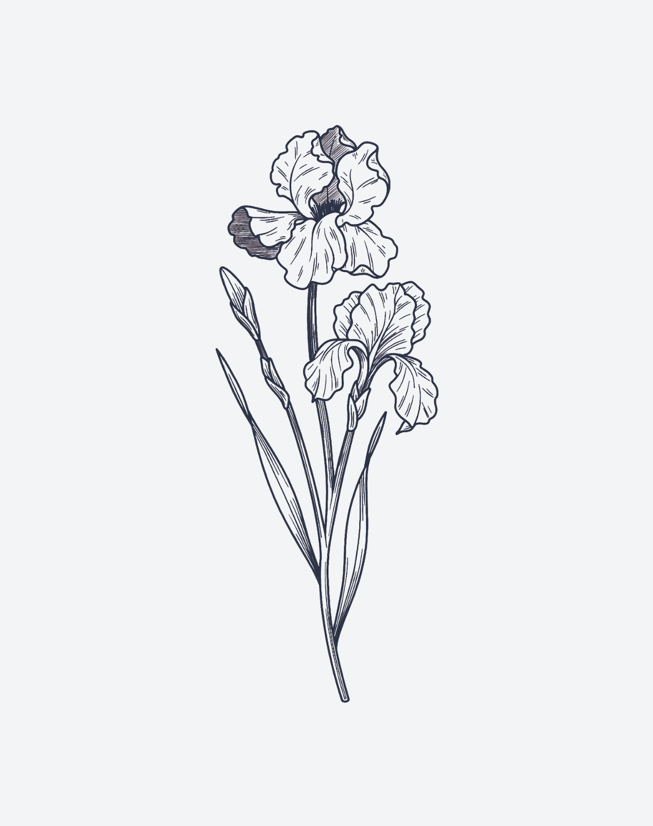 Iris Tattoo: Black and White Elegance