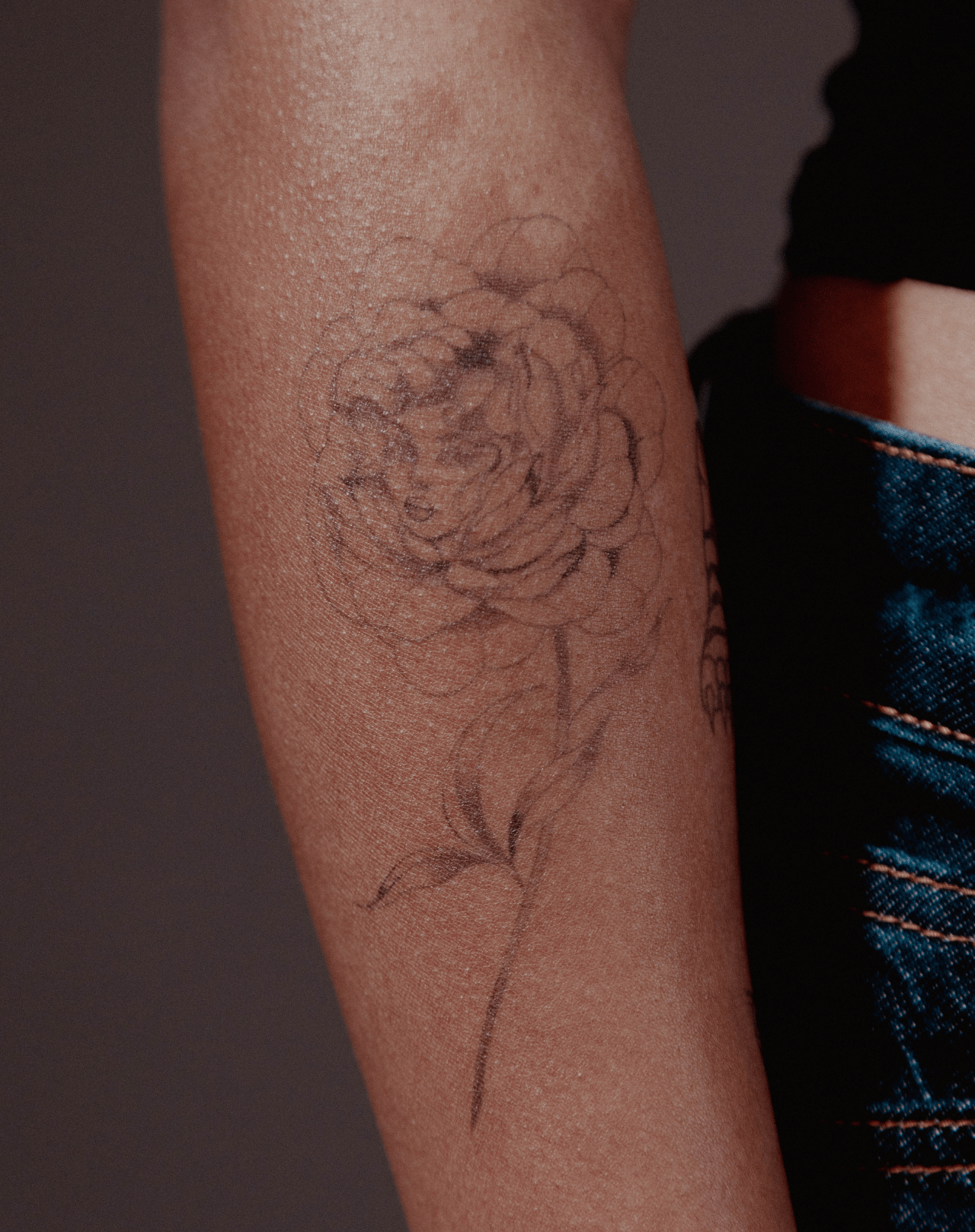 Gardenia flower vintage sketch. Botanical line vector illustration, tattoo  design. Blossom floral elegant drawing. Stock Vector | Adobe Stock, image size:1280x1618