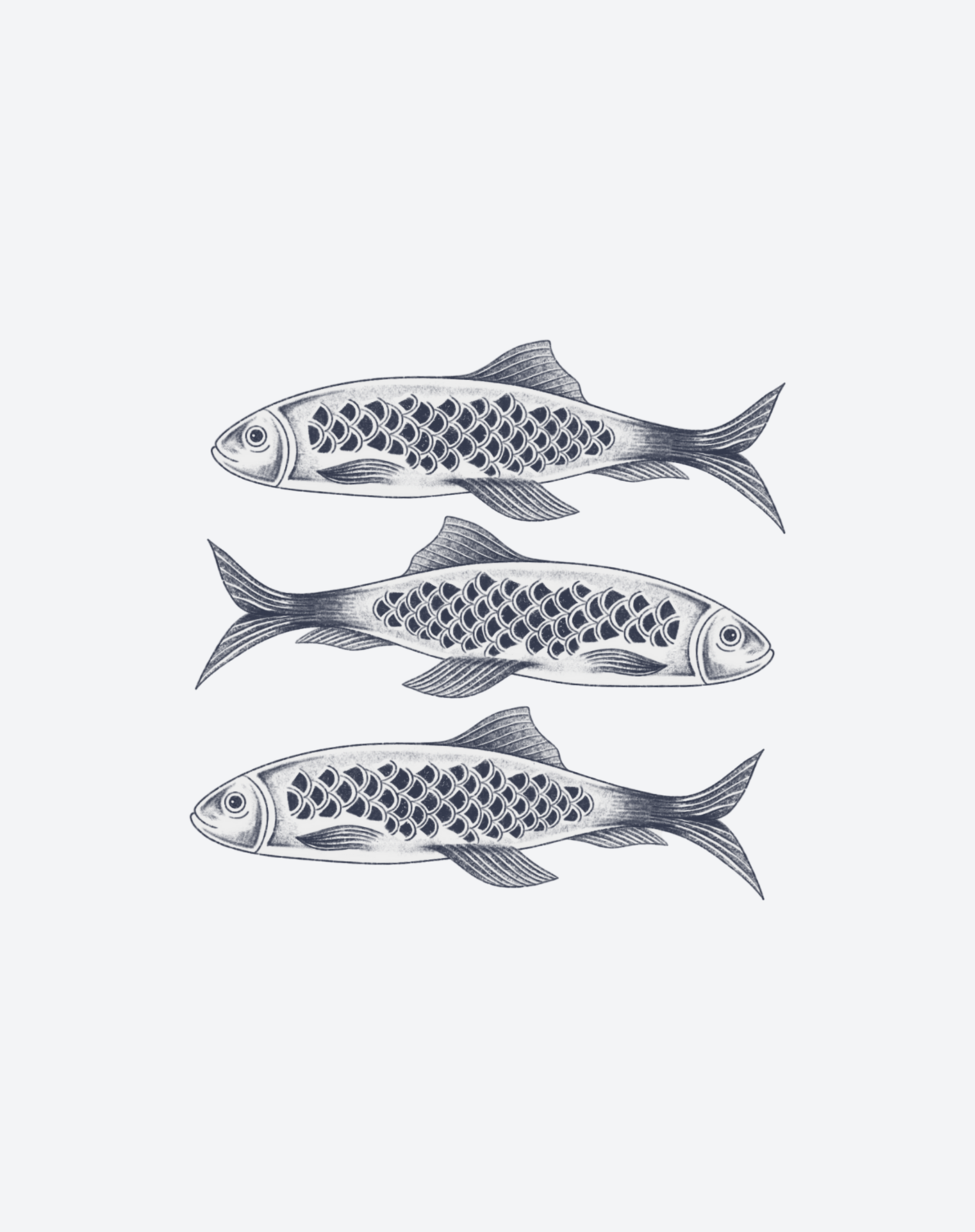 3Fish