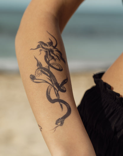 Abstract Snake