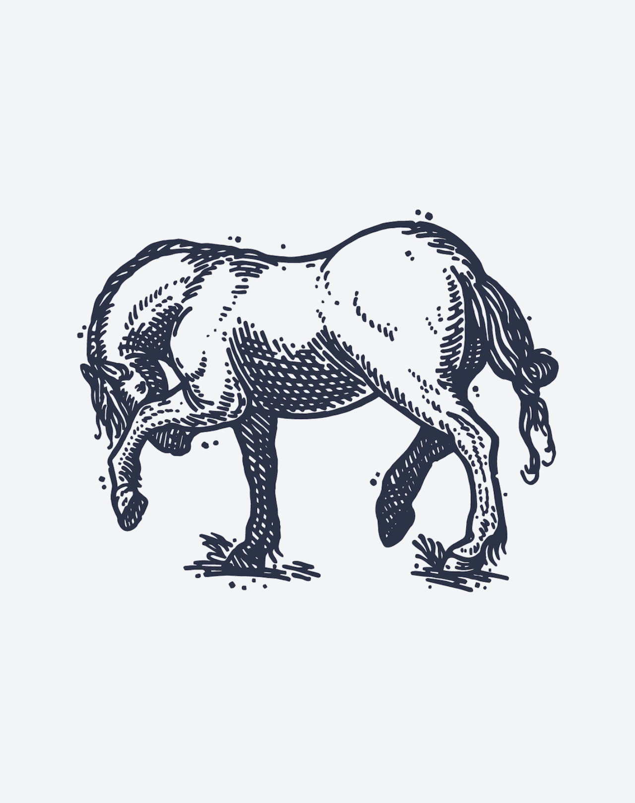 Bashful Horse