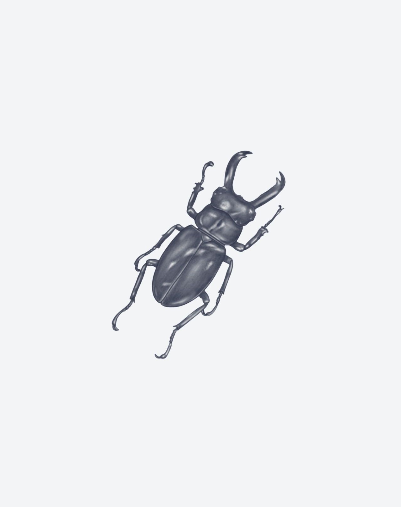 Beetle Crest