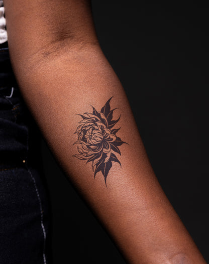 Blooming Chrysanthemum