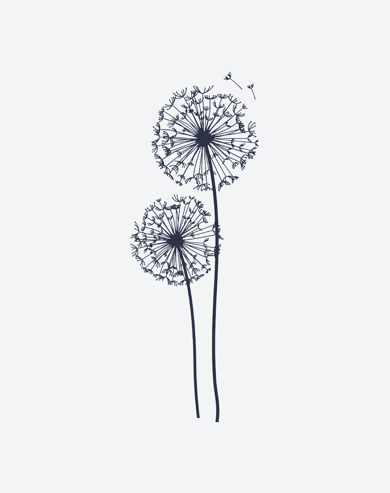 Dandelion Wish