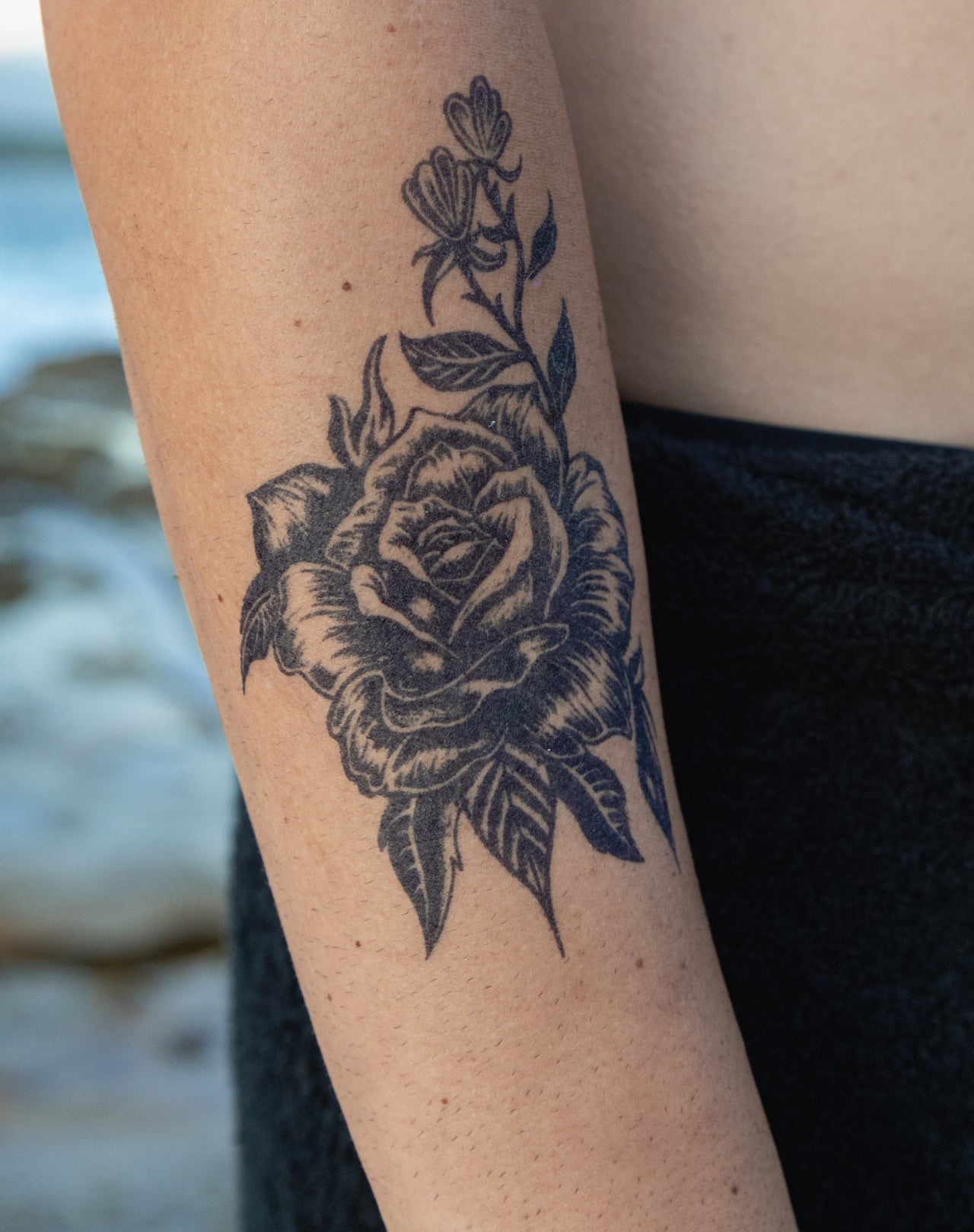 Dark Rose