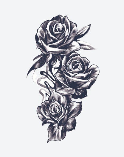 Elegant Roses