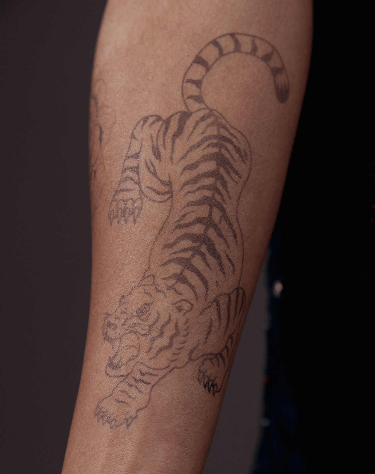 Fierce Tiger