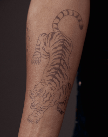 Fierce Tiger