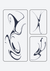 Fluidity Pack
