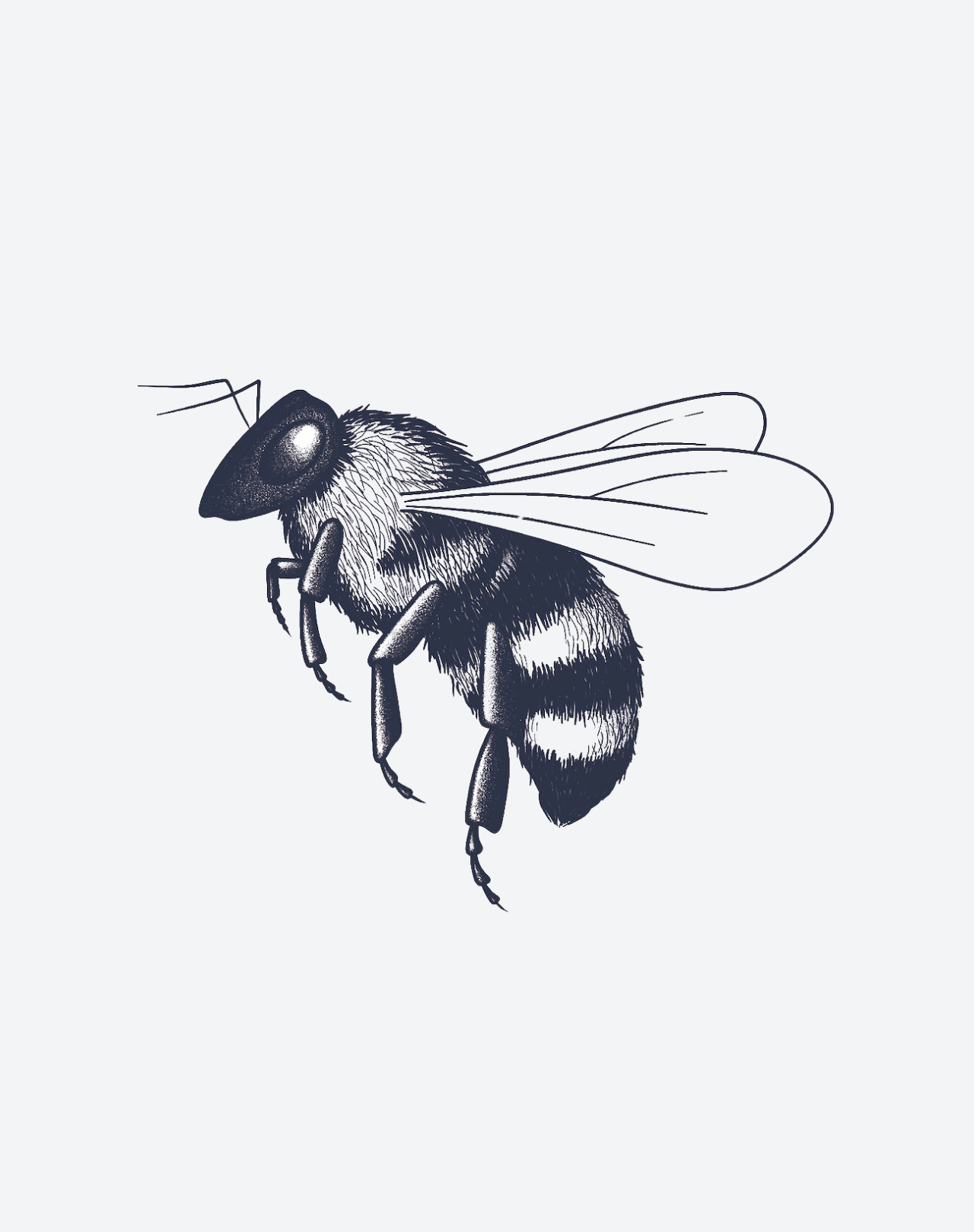 Honey Bee