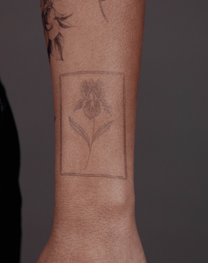Iris