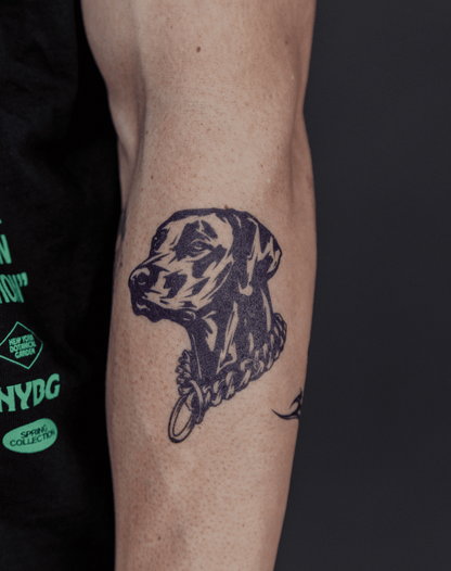 Loyal Spirit