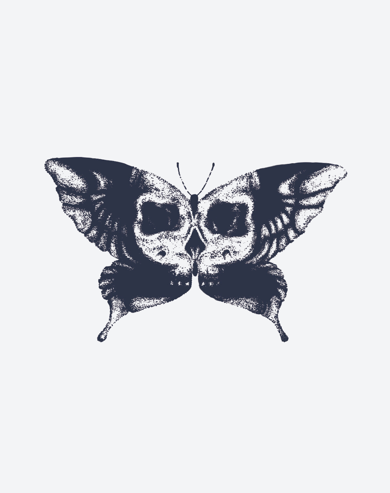 Moth Skull