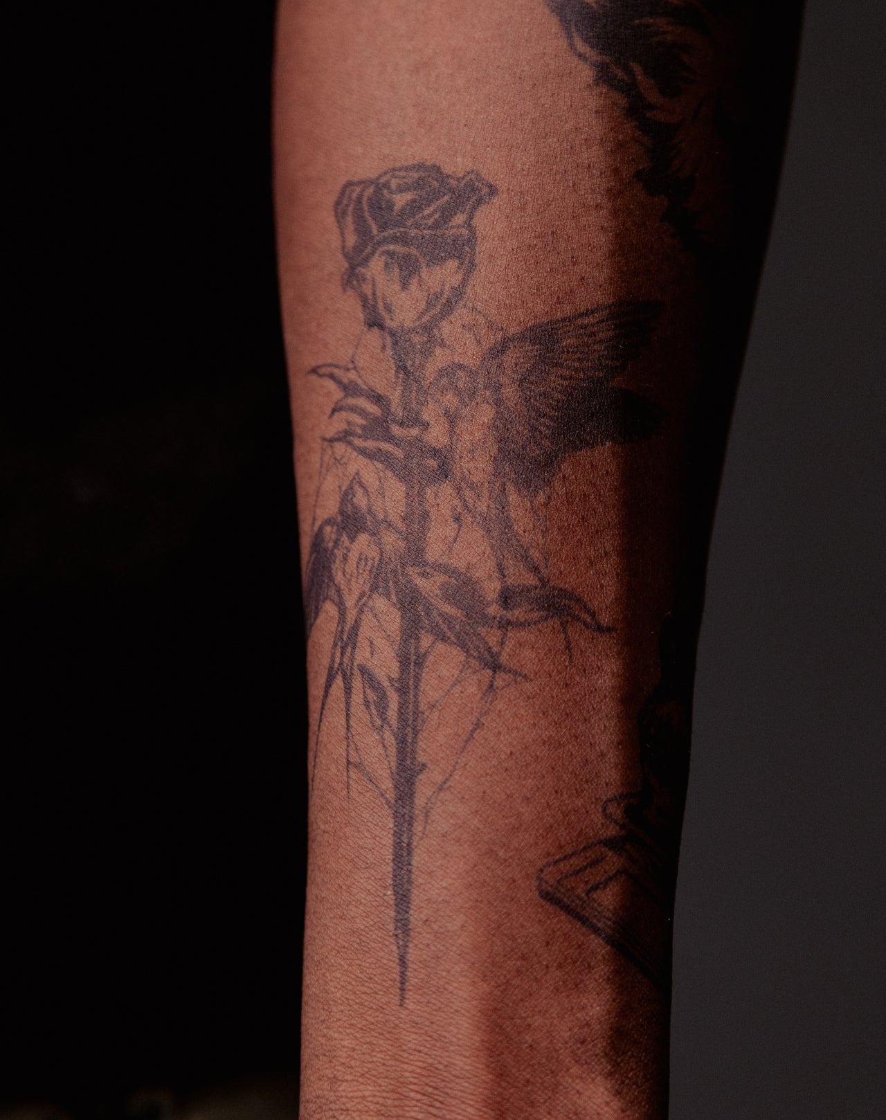 Petals & Plume