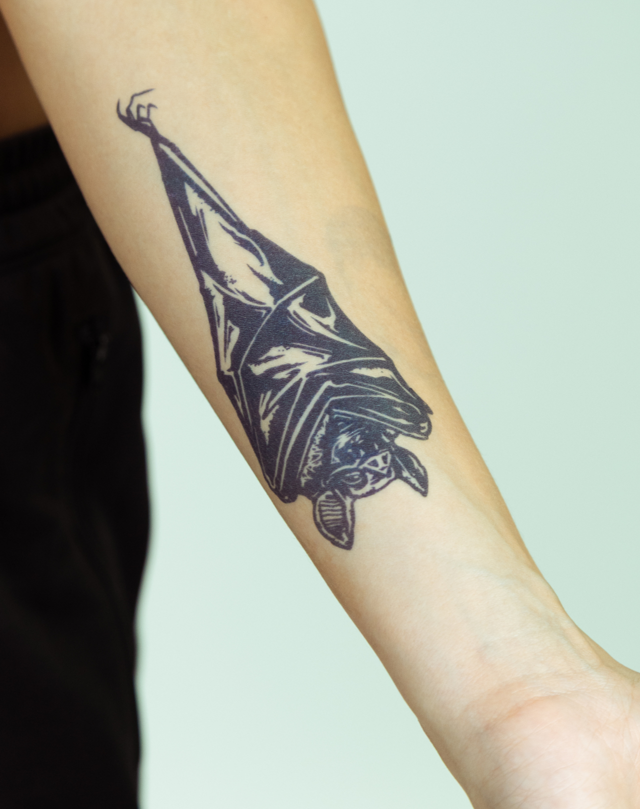 Hanging Bat