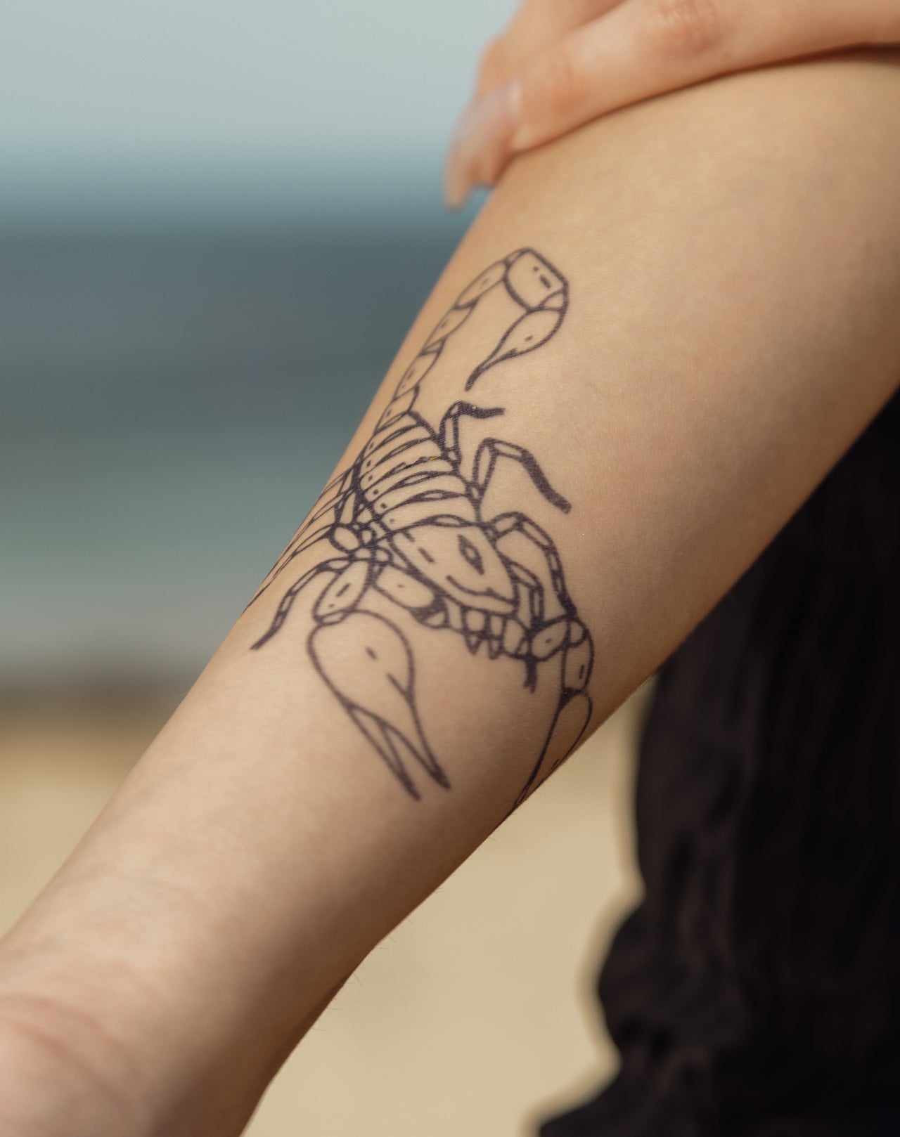 Scorpion