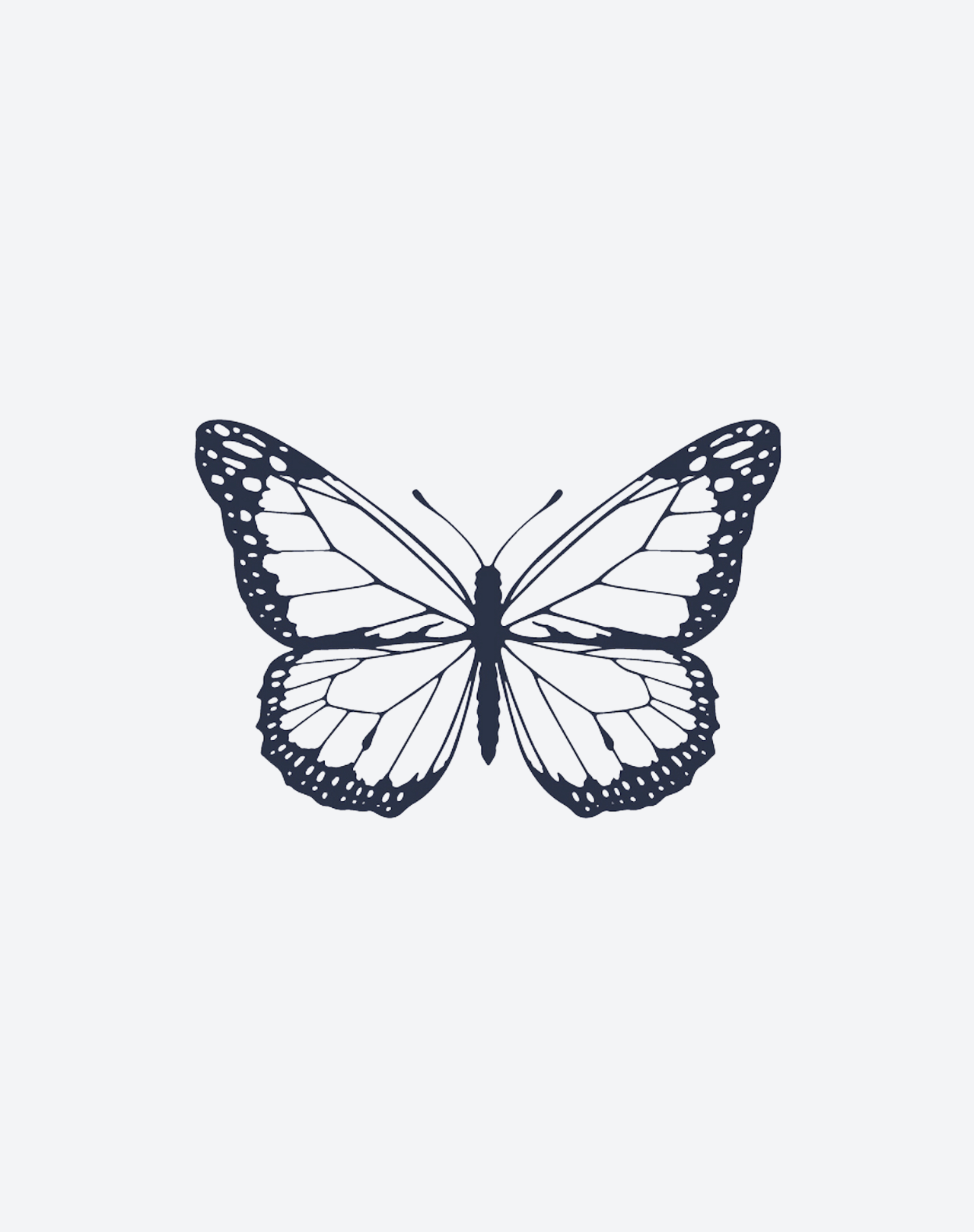 Simple Butterfly