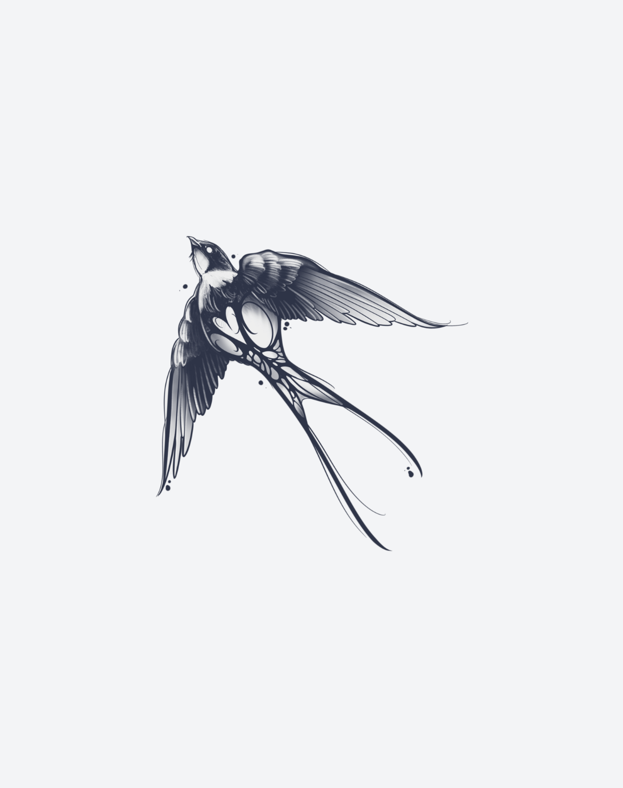 Soar