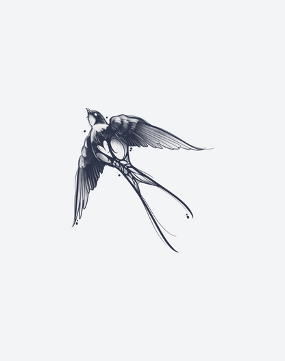 Soar