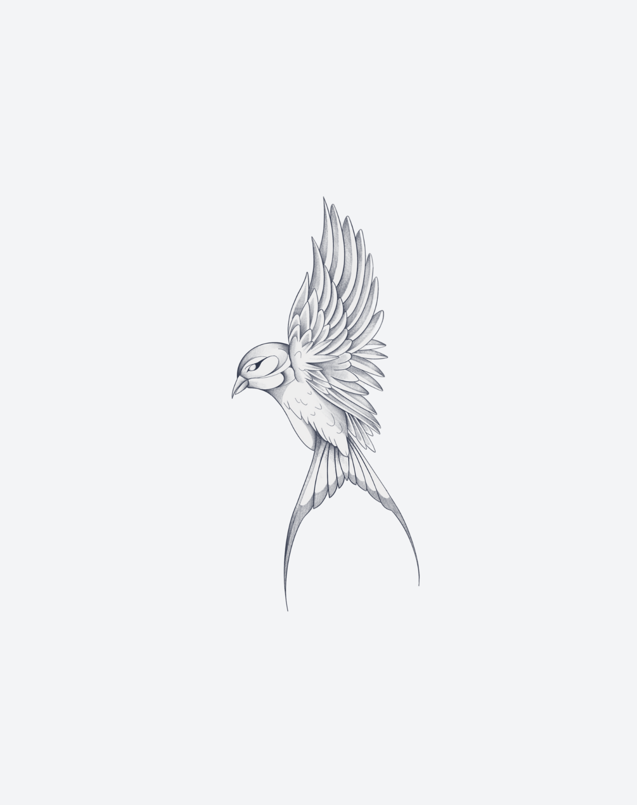 Soars