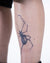 Stippled Spider