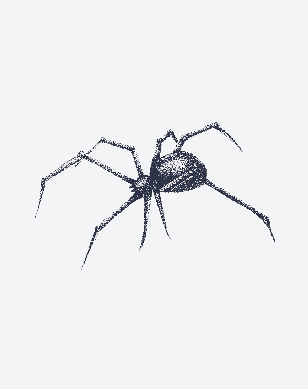 Stippled Spider