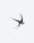 Swooping Sparrow