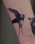 Swooping Sparrow