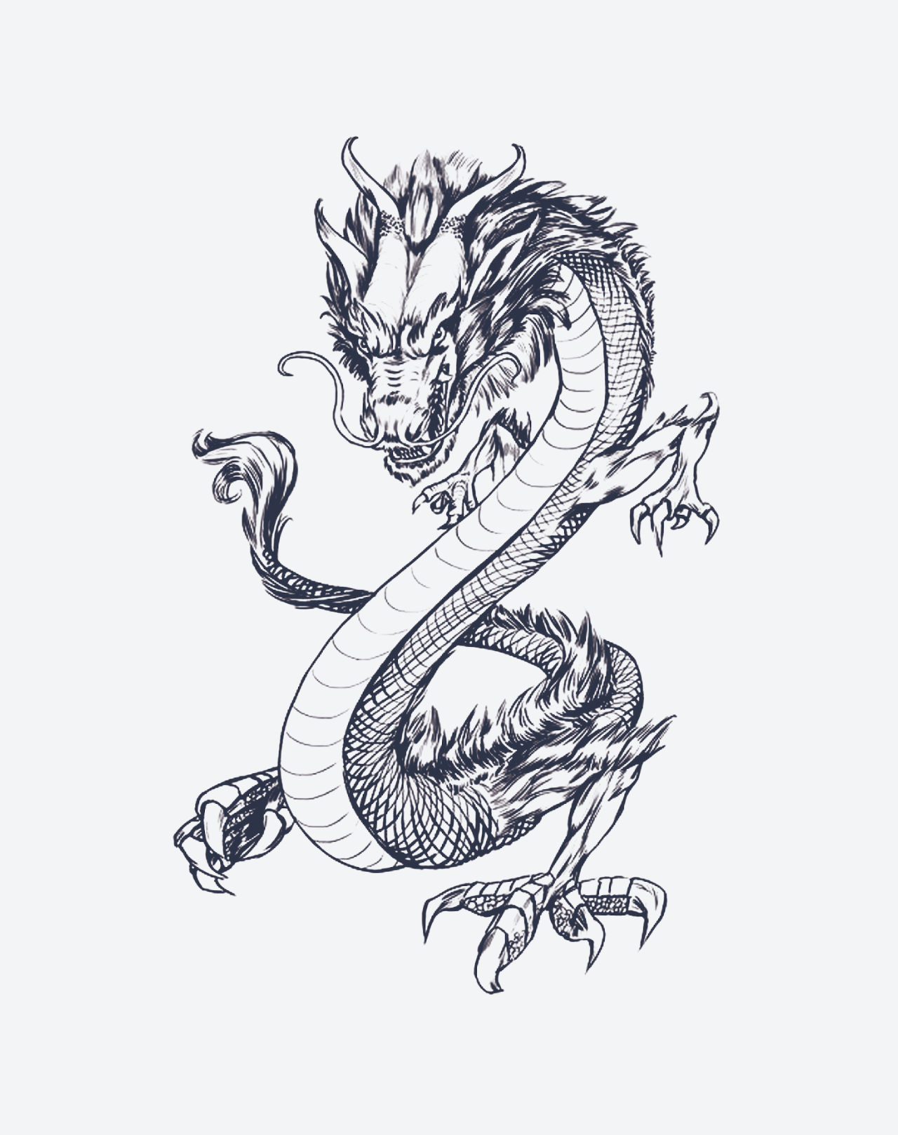 Traditional Japanese Dragon