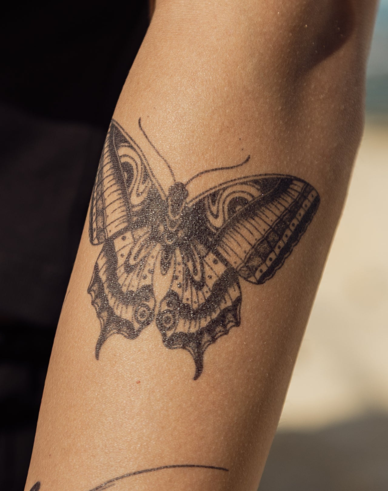 Trippy Moth
