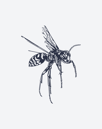 Wasp