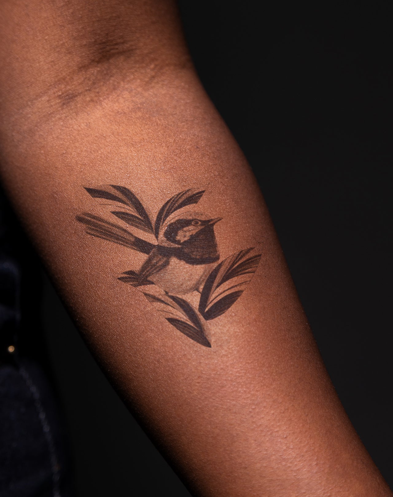 Whispers in the Leaves