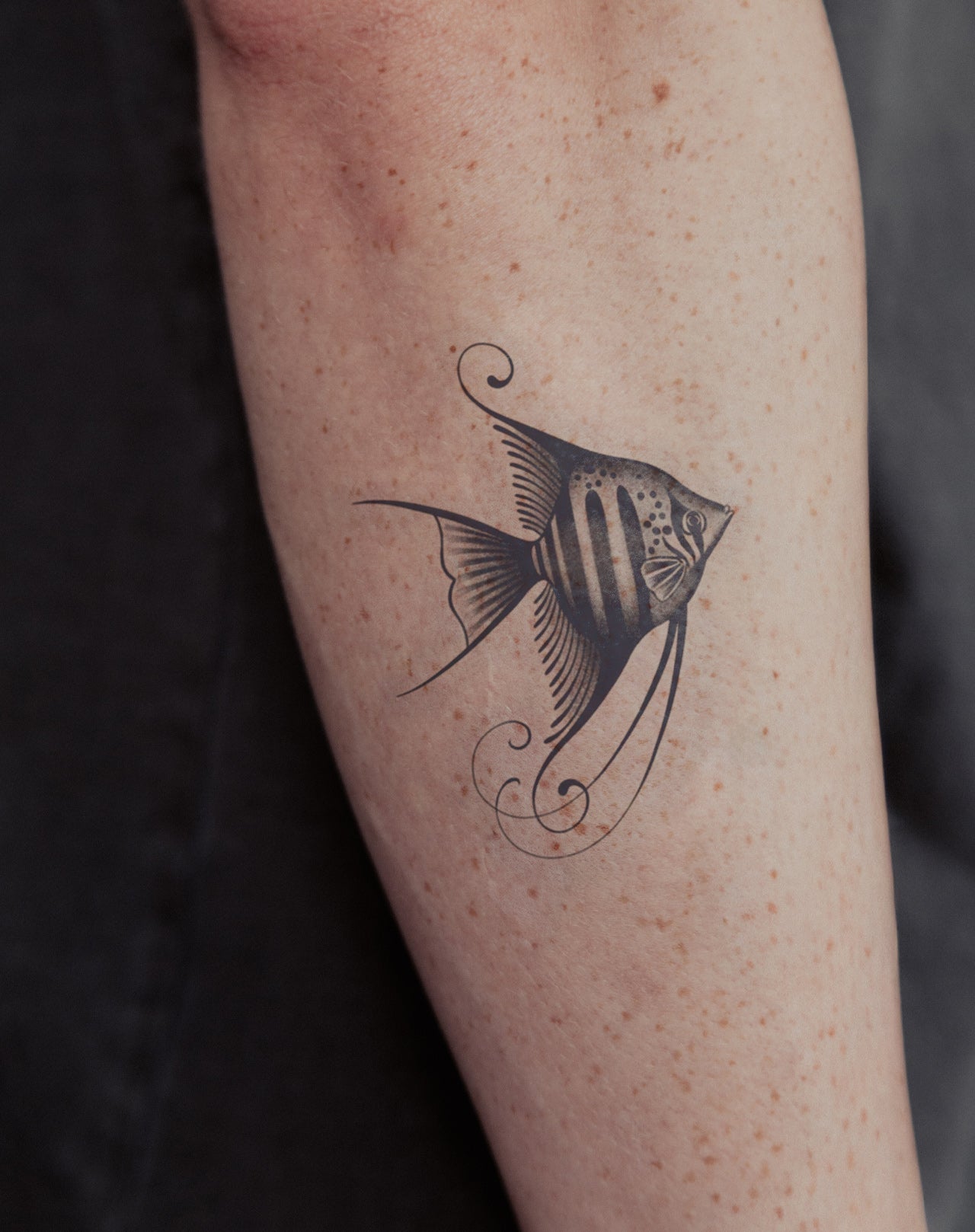 Whispers of the Reef