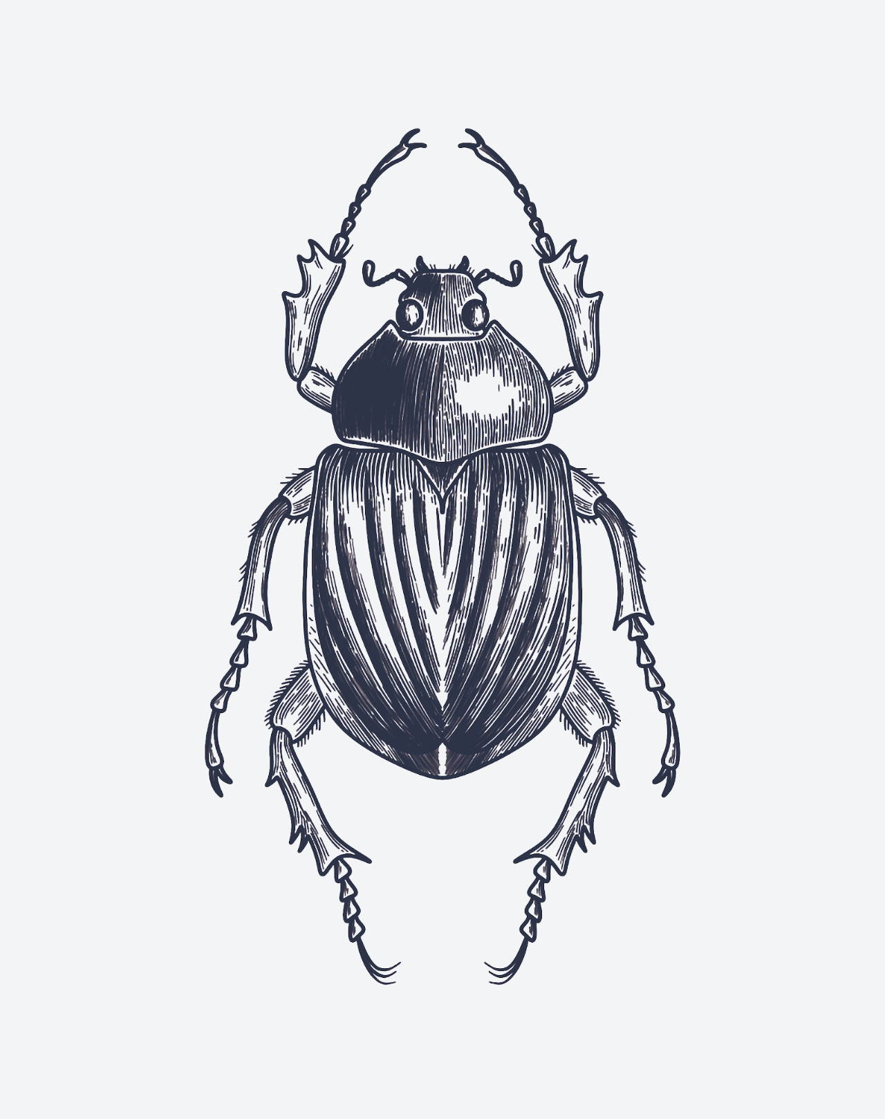 Scarab